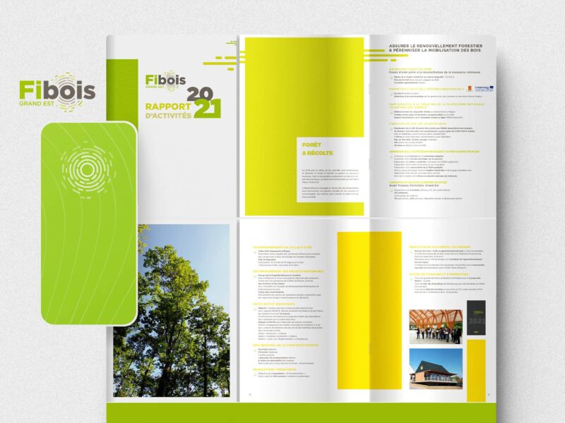 Studio 5LBS - Création graphiques & sites internet | Nancy - Fibois Grand Est (rapport d'activités)
